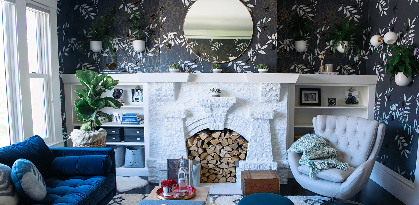 Spider Monkey Wallpaper