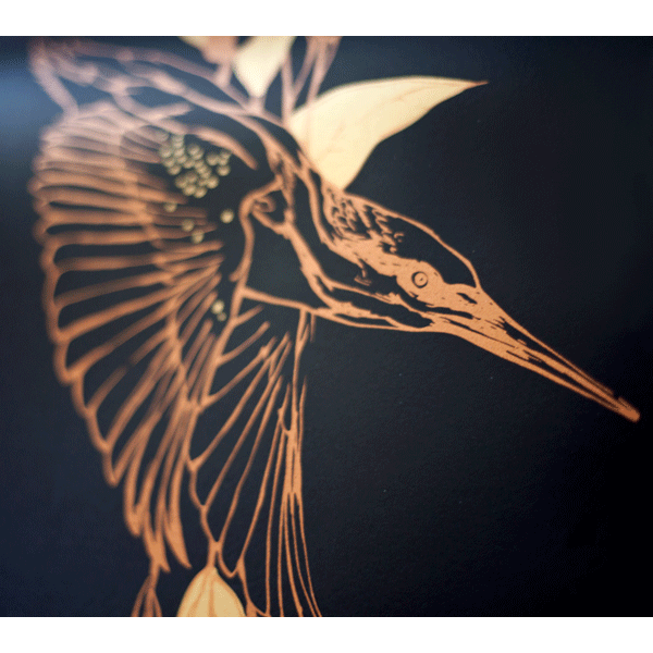 Kingfisher - Emas - Wallpaper