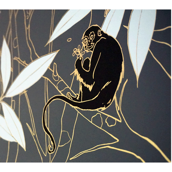 Spider Monkey - Wallpaper - Monkeys at Midnight