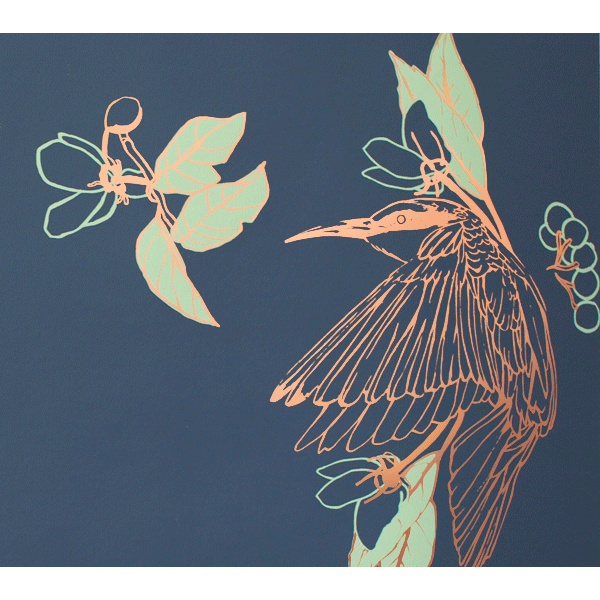 Kingfisher - Malam - Wallpaper