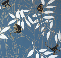 Spider Monkey - Monkeys Before Dawn - Wallpaper